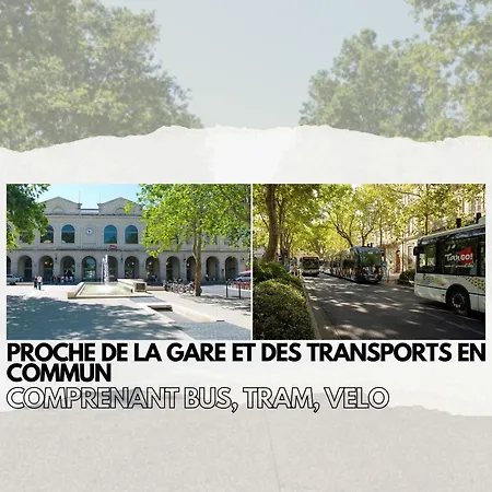 Ideal Plein Centre-ville